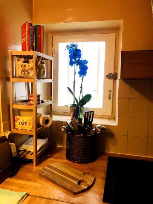 Habitation Salome Apartment ปารีส ภายนอก รูปภาพ